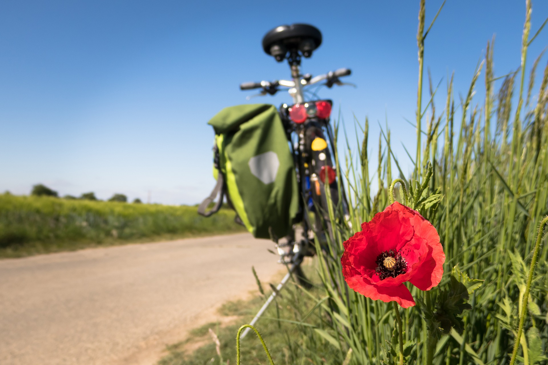 Ścieżki rowerowe w okolicy Orzesza – gdzie warto pojechać?
