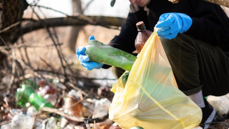 W Gliwicach usunięto dzikie wysypisko odpadów o masie 80 ton