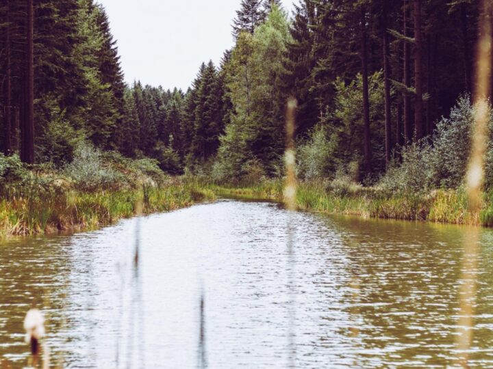 Niepokojące zabarwienie wody w Kłodnicy – skutki kontrolowanego zrzutu z kopalni Wujek-Śląsk