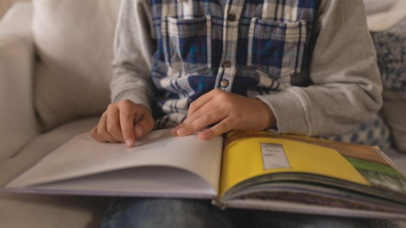 Edukacyjna tablica o sukcesji ekologicznej w Zawadzie
